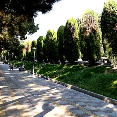 افسون مینیاتور ایرانی و باغ‌ شرقی